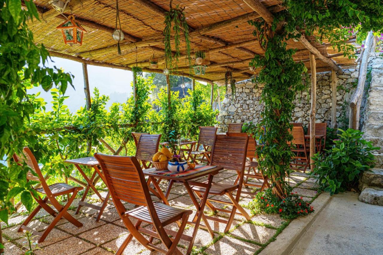 Poggio Angelarosa: Lemon Garden Stay&Relax Scala Eksteriør bilde